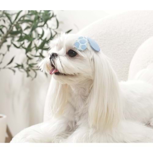 60902499 GLAM KÖPEKLER İÇİN AKSESUAR TOKA BLUE