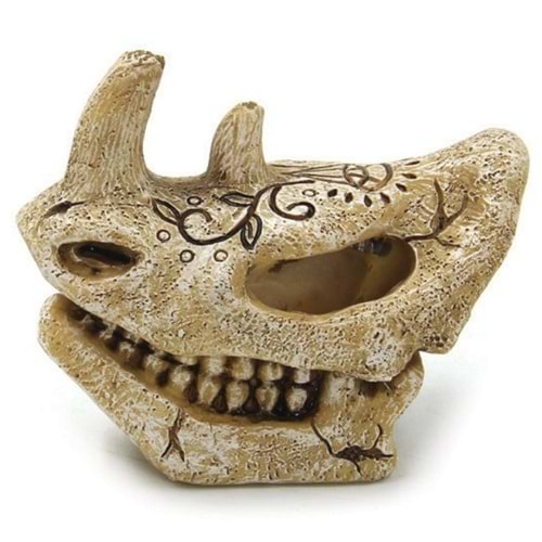 Yarım Kafa İskeleti Dekor 7.5x4.3x6.2 cm