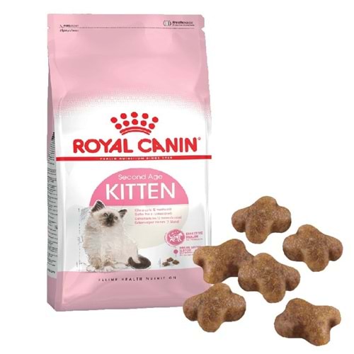 FHN KITTEN 10K