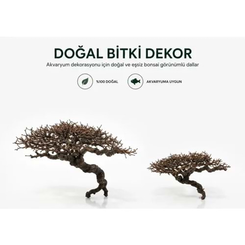 DOĞAL BONSAİ AKVARYUM DEKORU (8-12 CM)