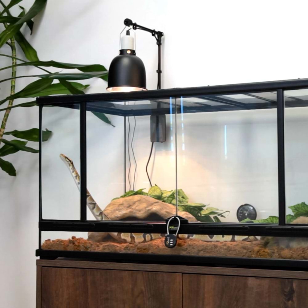 Terratlantis KIT SERPENT JUVENILE Teraryum Seti