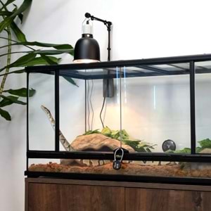 Terratlantis KIT SERPENT JUVENILE Teraryum Seti