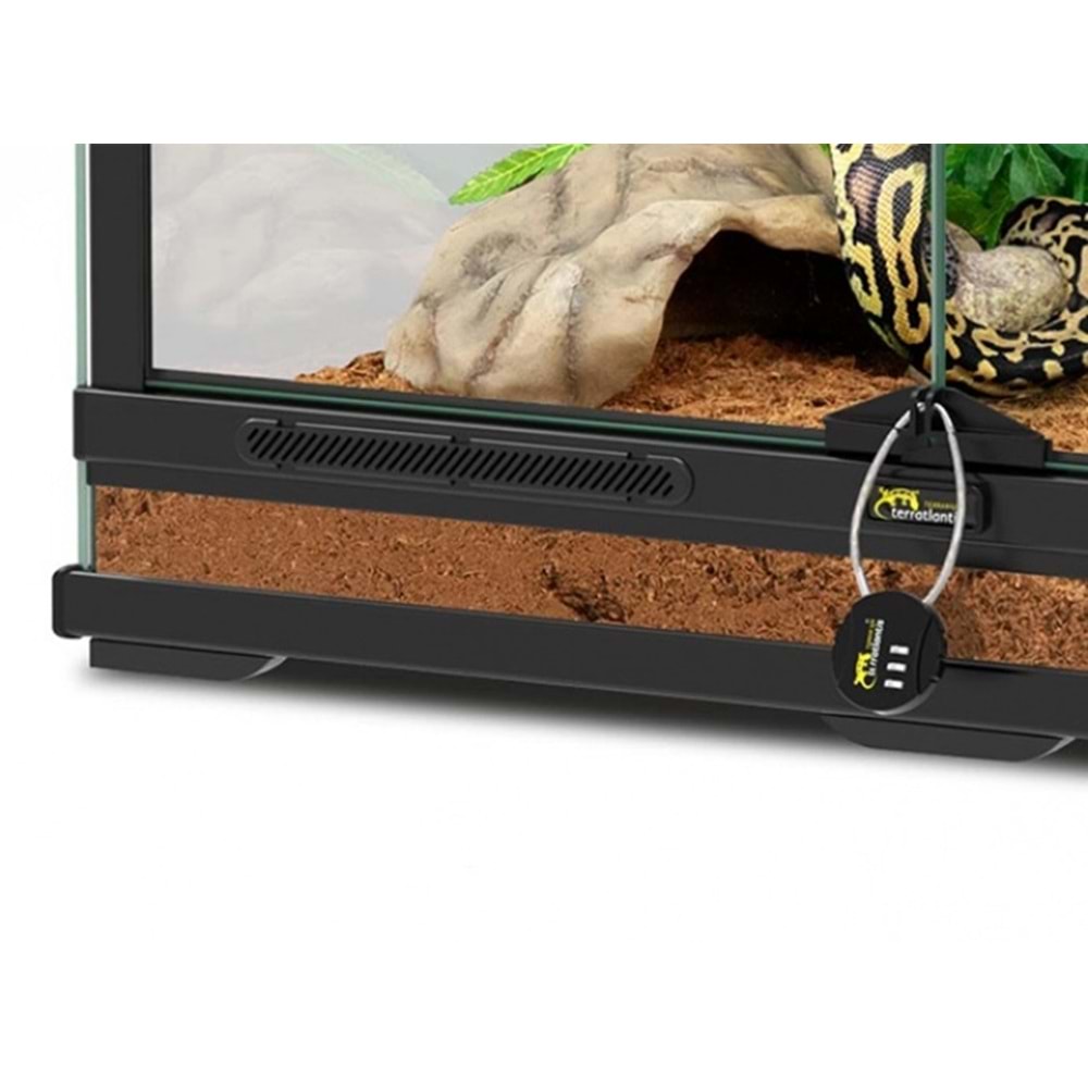 Terratlantis KIT SERPENT JUVENILE Teraryum Seti