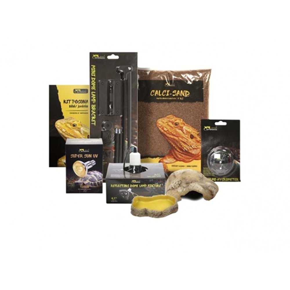 Terratlantis KIT POGONA JUVENILE Teraryum Seti