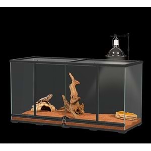 Terratlantis KIT POGONA ADULT Teraryum Seti