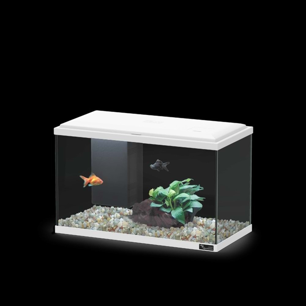 EXPLORER LISBON COR025 LED BIO Beyaz