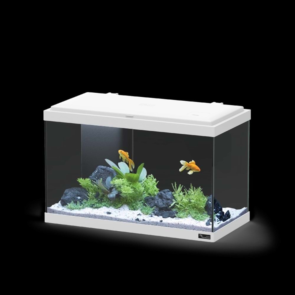 EXPLORER VIENNA COR025 LED BIO Beyaz