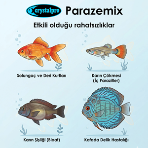 CRYSTALPRO PARAZEMİX 40 GR