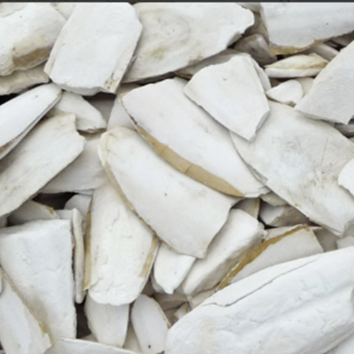 Kırıklı Kalamar Kemiği 10 Kg