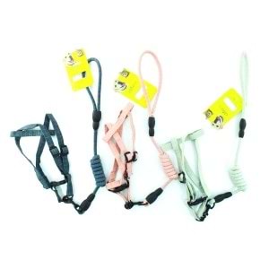 20-30-5 Cado Pet 1,5 Cm Kumaş Bel Tasma Takım (12)