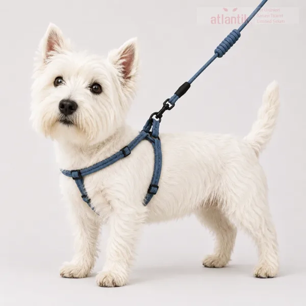 20-30-5 Cado Pet 1,5 Cm Kumaş Bel Tasma Takım (12)