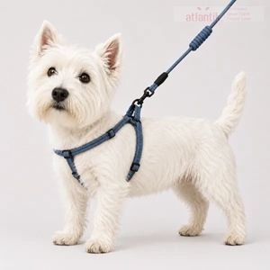 20-30-5 Cado Pet 1,5 Cm Kumaş Bel Tasma Takım (12)
